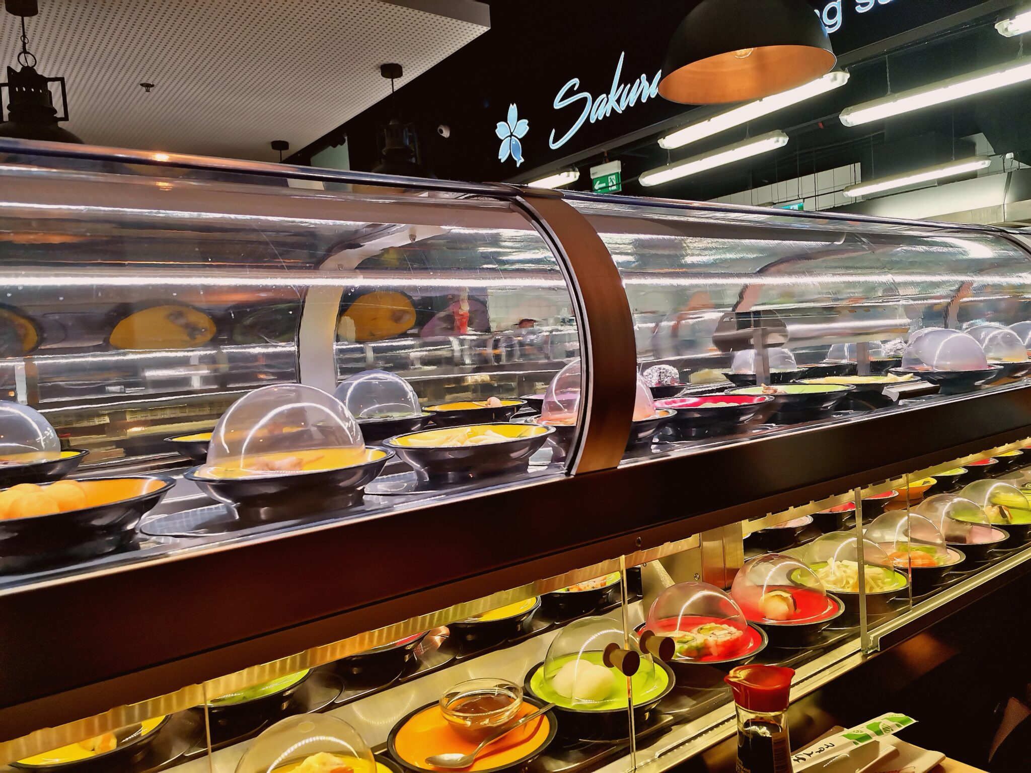 Sakura's running sushi recenze Info Brno